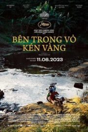 Bên trong vỏ kén vàng