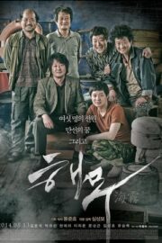 Haemoo