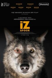 İz