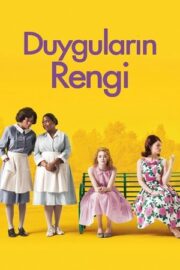 Duyguların Rengi